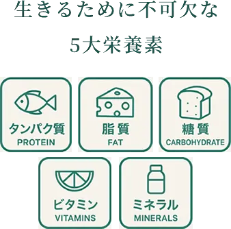 5大栄養素