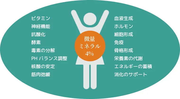 微量ミネラル