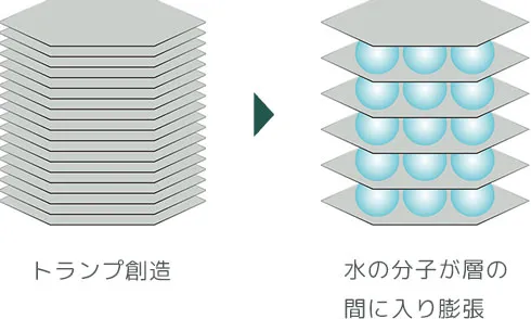 トランプ構造